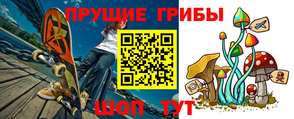 Галлюциногенные грибы GOLDEN TEACHER Славянск-на-Кубани