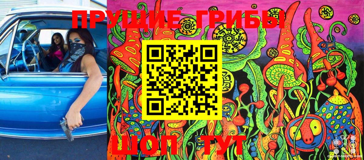 Псилоцибиновые грибы прущие грибы  Псилоцибиновые грибы Cubensis  Вход с VPN  Славянск-на-Кубани 